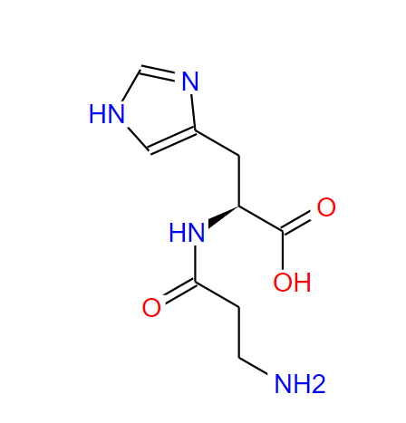 L-肌肽的作用與合成方法